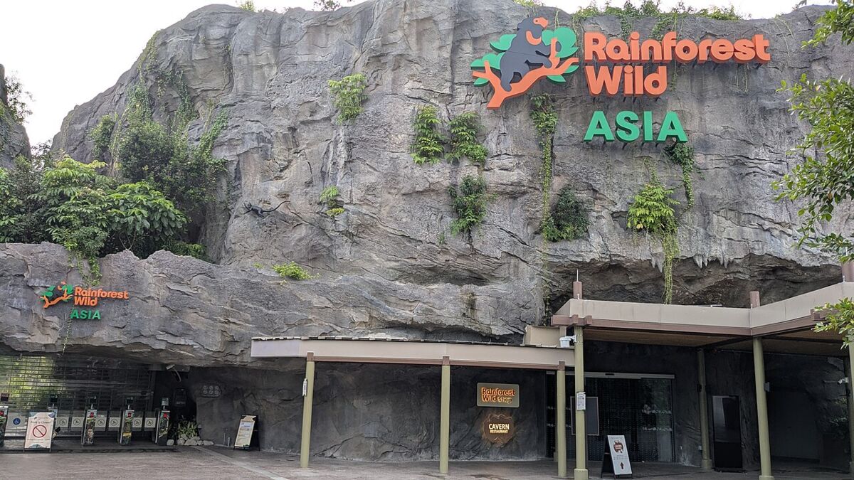 Rainforest Wild Asia: A Family Guide to Mandai's Newest Adventure Park