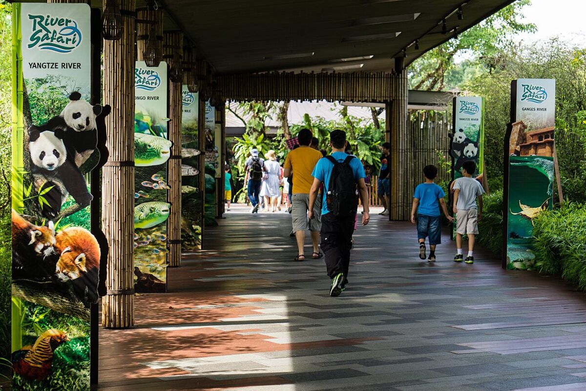 Visitors and families walking through the themed river-zone entrance walkway at River Wonders (River Safari), Singapore