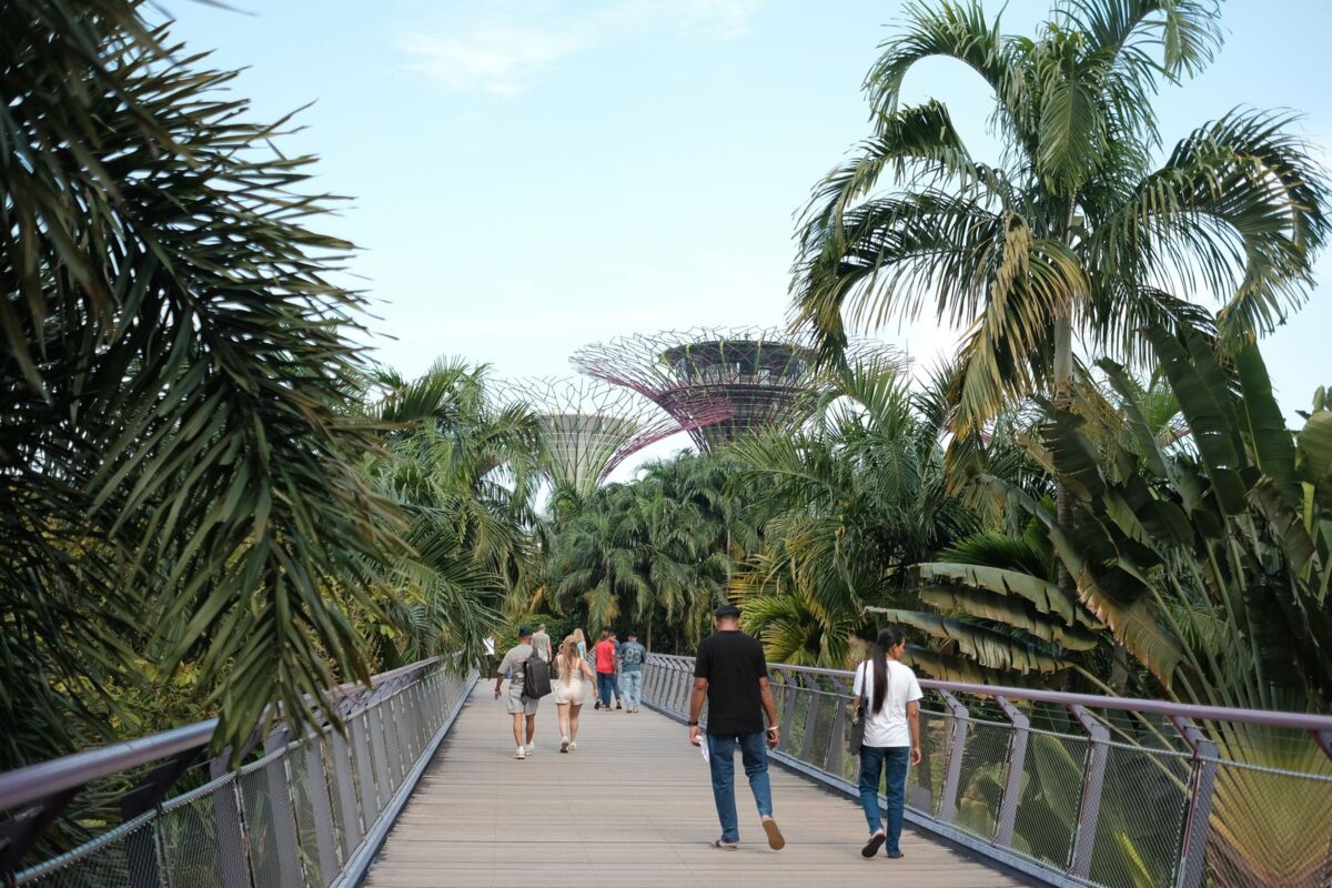 People walking on a scenic bridge surrounded by lush greenery at Gardens by the Bay, Singapore.
