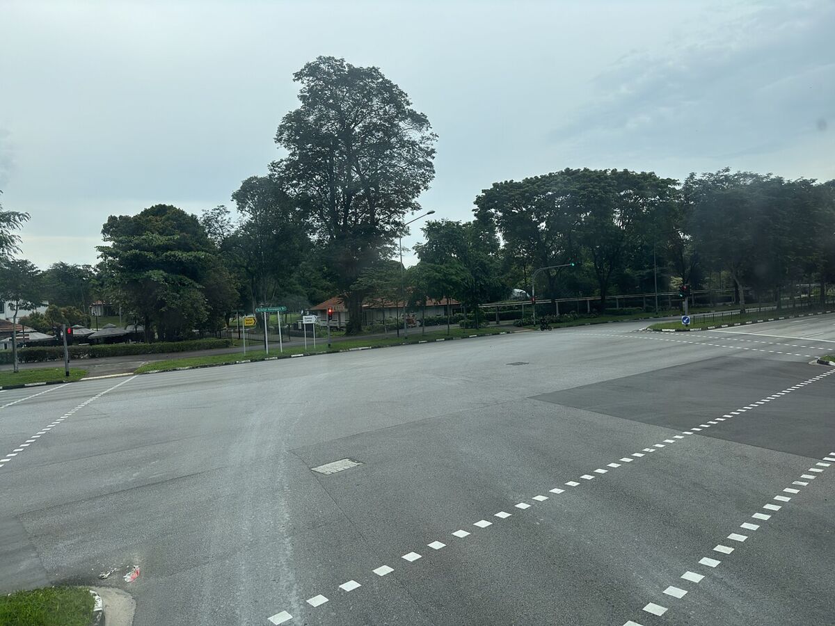 The leafy, low-rise surroundings of Seletar Aerospace Park