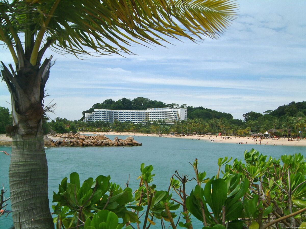 View of Siloso Beach lagoon and sandy shore framed by palm trees, with a curved hillside resort in the background