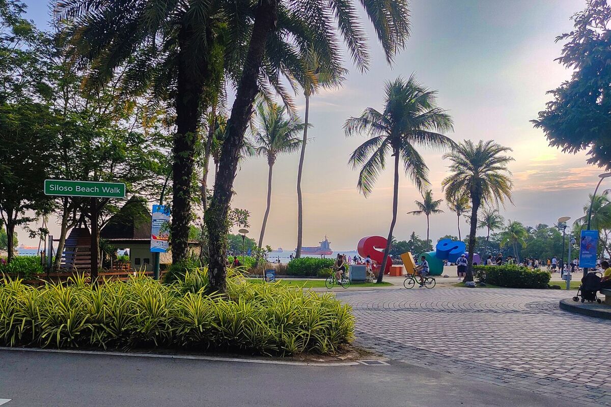 Siloso Beach Walk entrance area at dusk with tall palm trees, landscaped plants and cyclists near a colourful sign