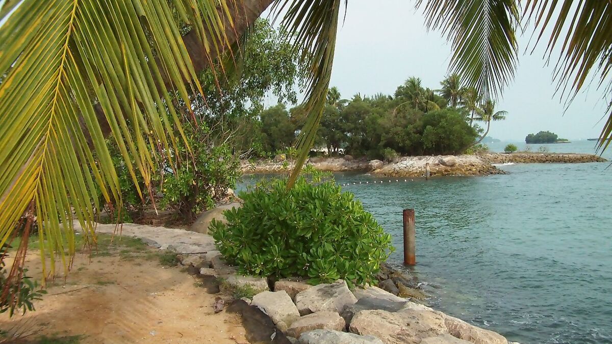 Sentosa Beaches: A Family Guide to Palawan, Siloso and Tanjong
