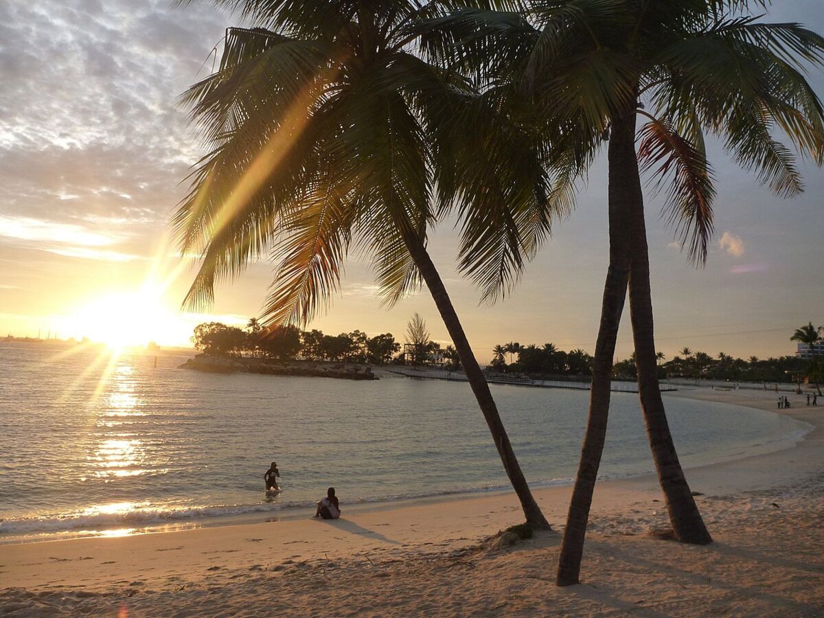 Sunset over a Sentosa beach with palm trees and people on the sand