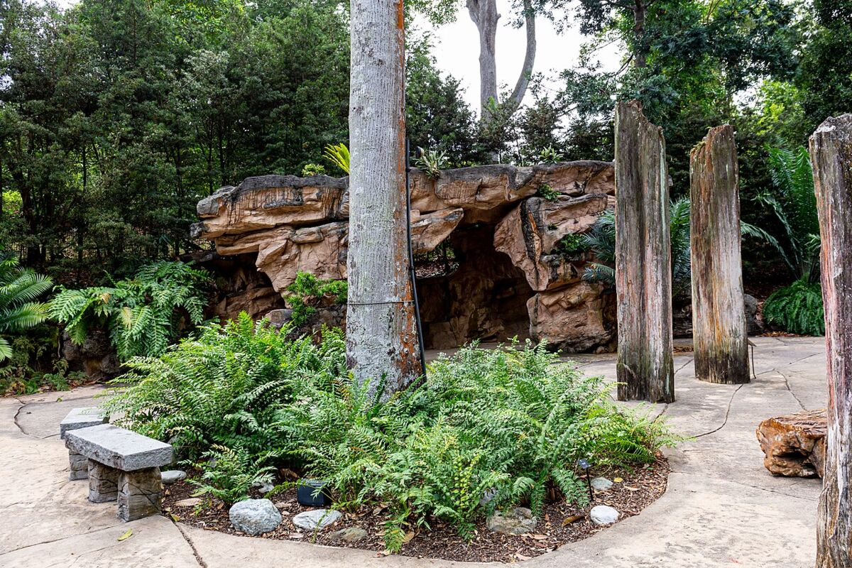 Rock outcrop, ferns and a stone bench beside a paved garden walkway at Singapore Botanic Gardens