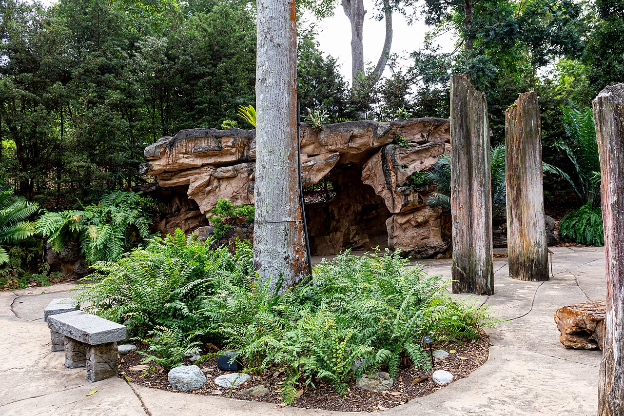 Rock outcrop, ferns and a stone bench beside a paved garden walkway at Singapore Botanic Gardens