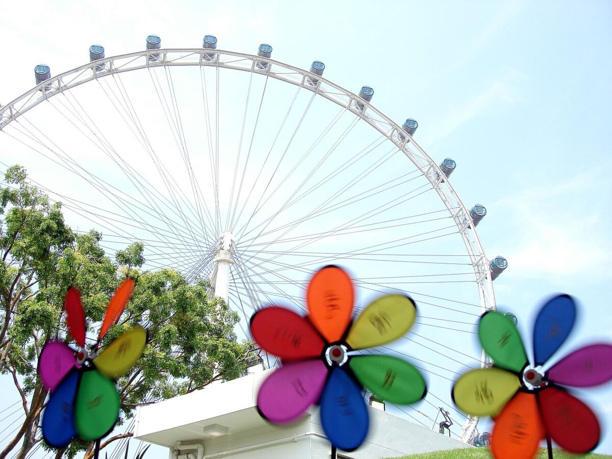 Looking up at the Singapore Flyer wheel with colourful pinwheels in the foreground garden