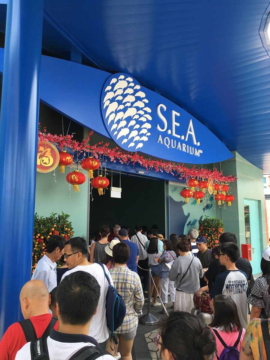 Visitors queue under the blue S.E.A. Aquarium entrance sign at Resorts World Sentosa, decorated with red lunar new year lanterns