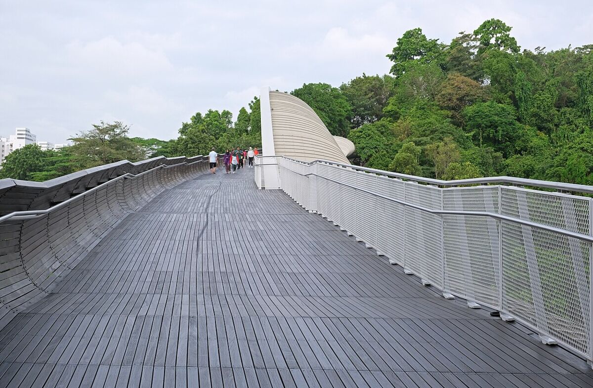 Wide timber deck of Henderson Waves bridge with its curved steel canopy and walkers, framed by lush rainforest