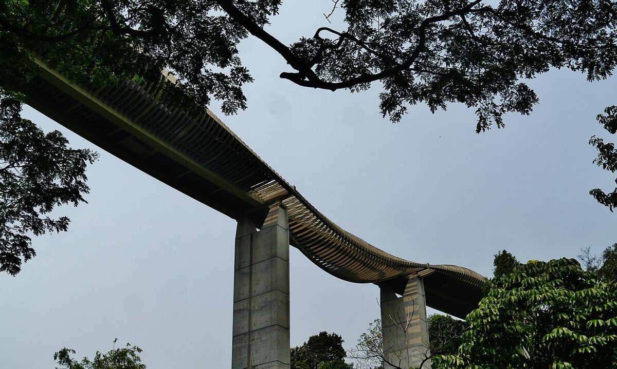 Southern Ridges Family Guide: Henderson Waves, Forest Walk and a Walk in the Treetops