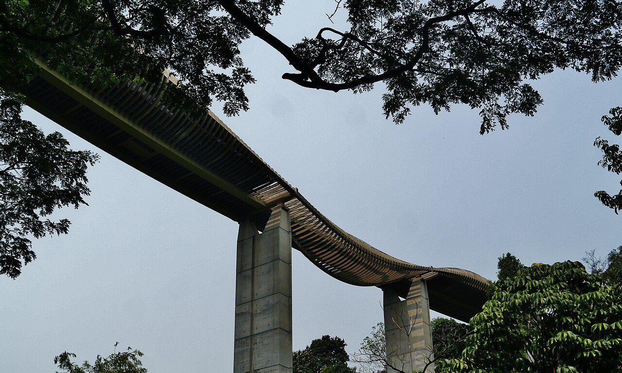 Southern Ridges Family Guide: Henderson Waves, Forest Walk and a Walk in the Treetops