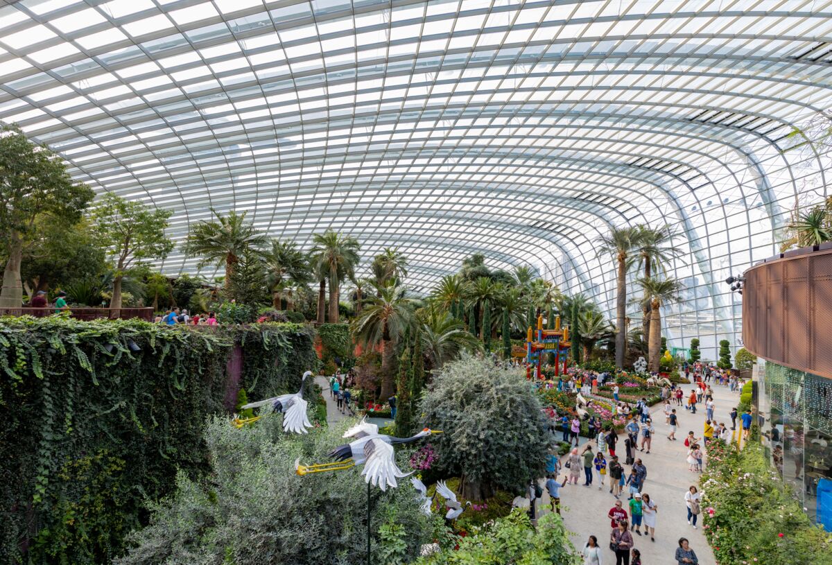 Sunflower Surprise 2026 at Gardens by the Bay: a parent's guide