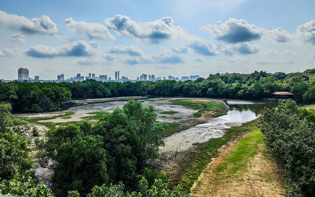 Curved boardwalk bridge crossing a calm waterway lined with mangroves at Sungei Buloh Wetland Reserve