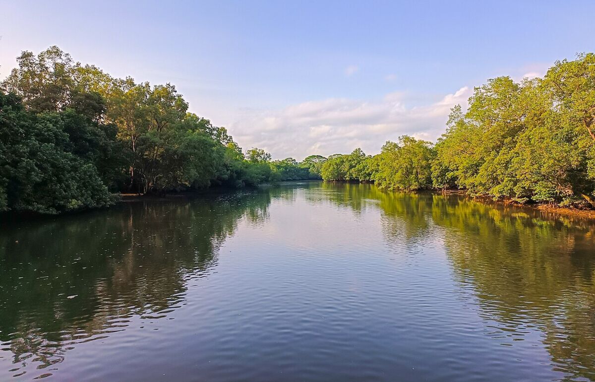 Elevated view over the wetland mudflats and pond with the city skyline in the distance at Sungei Buloh