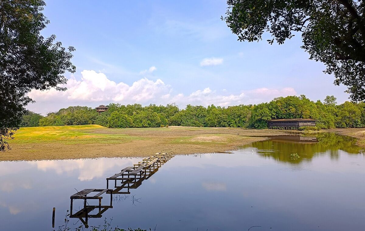 Floating stepping-stone path crossing a reflective pond toward a viewing hut at Sungei Buloh Wetland Reserve