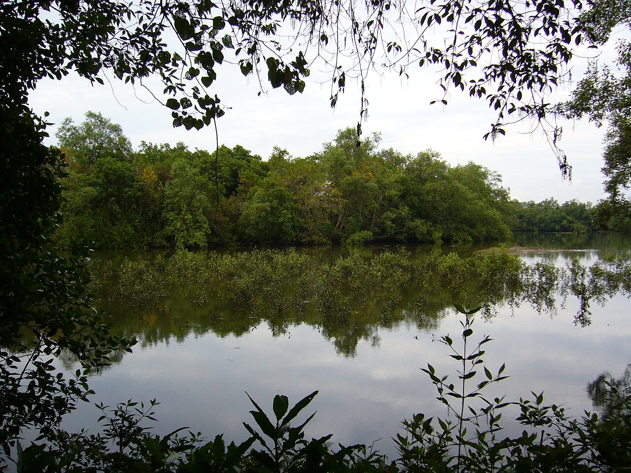 Wooden boardwalk and shaded shelter beside a tranquil pond framed by trees at Sungei Buloh Wetland Reserve