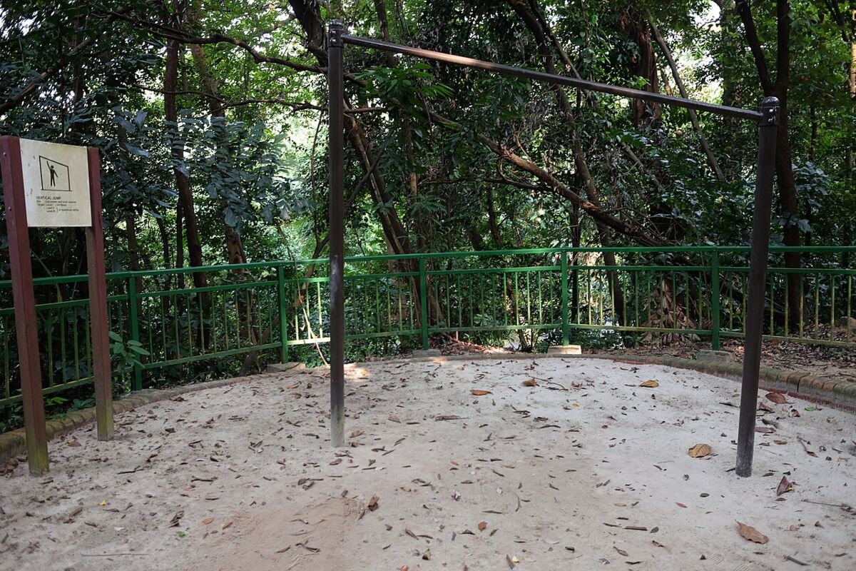 Telok Blangah Hill Park: A Family Guide to Henderson Waves, Forest Walk and Hilltop Views