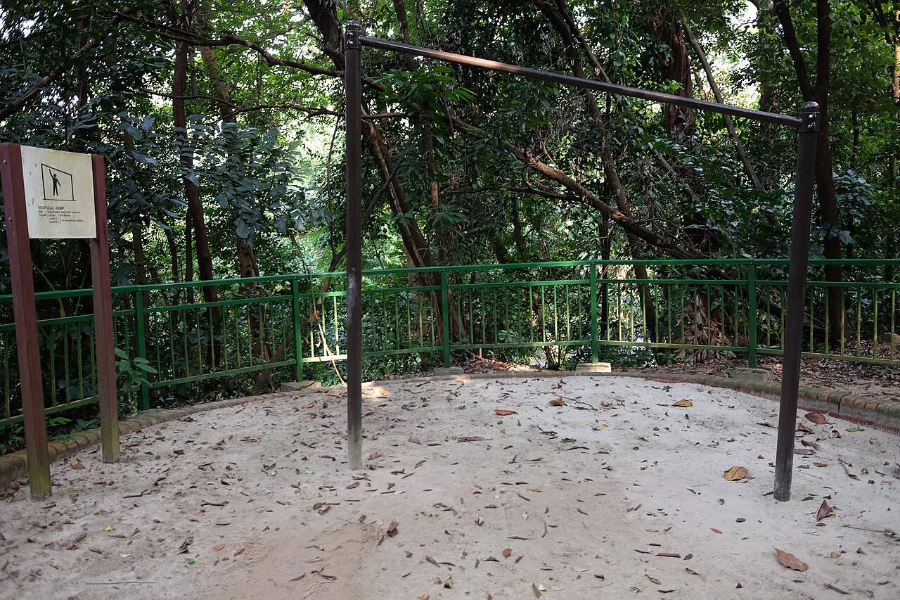 Telok Blangah Hill Park: A Family Guide to Henderson Waves, Forest Walk and Hilltop Views