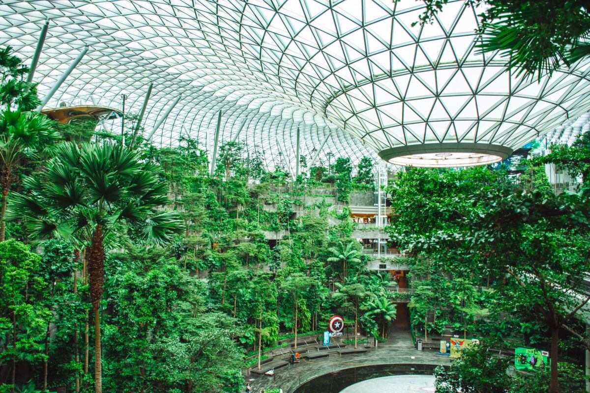 Discover the lush indoor greenery of the Shiseido Forest Valley at Jewel Changi Airport in Singapore.