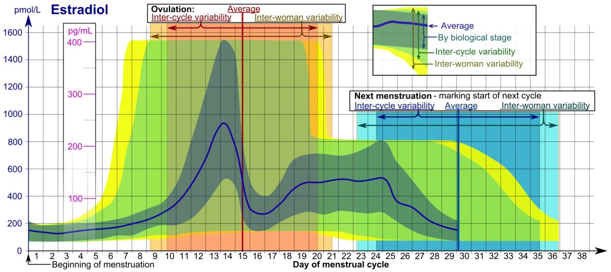 A diagram of the menstrual cycle and fertile window