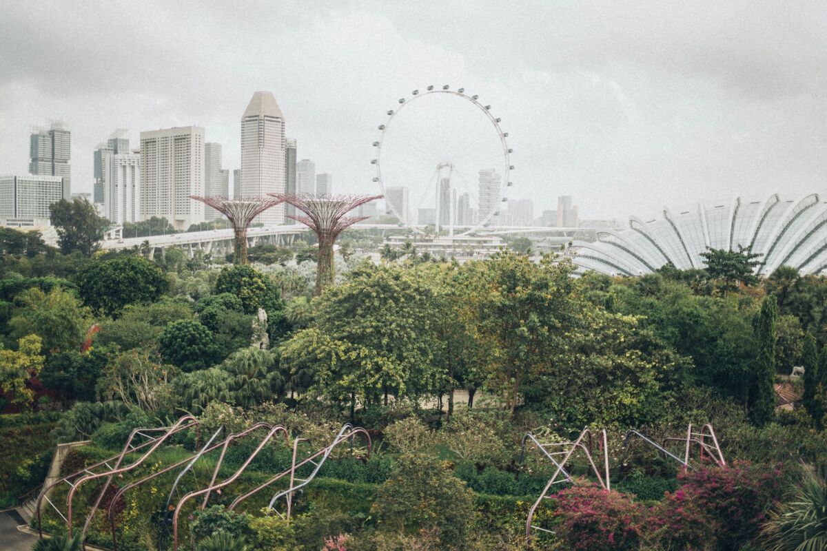 Lush greenery meets urban skyline at Singapore's Gardens by the Bay with the Singapore Flyer in view.