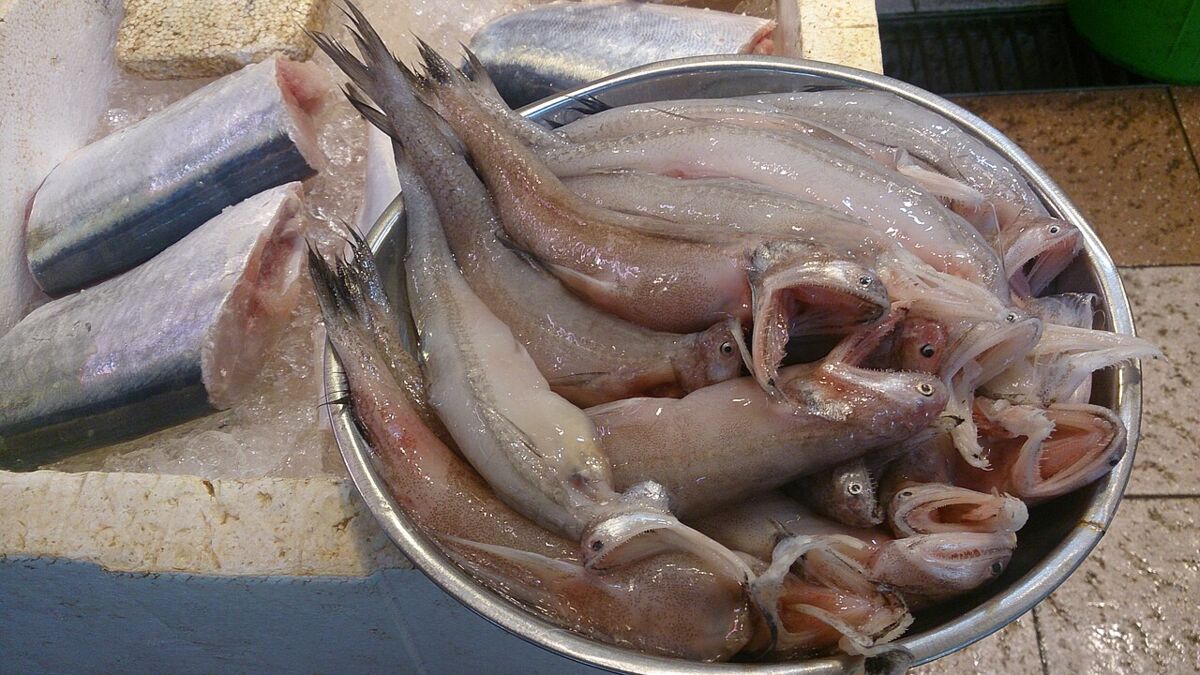 Visiting a Wet Market in Singapore With Kids: A Family Guide