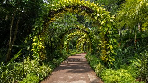 Jacob Ballas Children's Garden: A Family Guide to Asia's First Kids' Garden